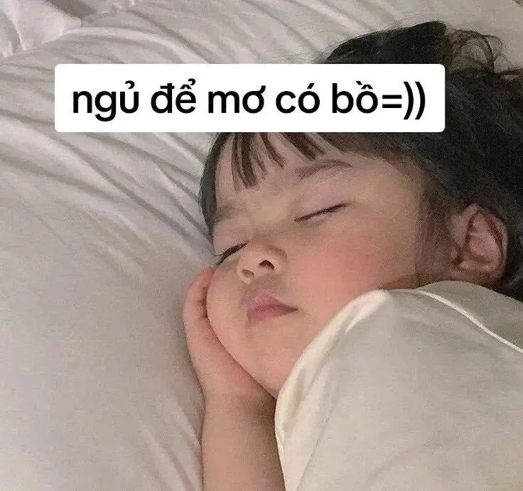 Ảnh mèo ngủ meme với biểu cảm dễ thương và hài hước