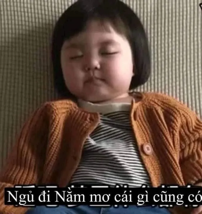 Meme chúc ngủ ngon cute với hình ảnh ngộ nghĩnh đáng yêu