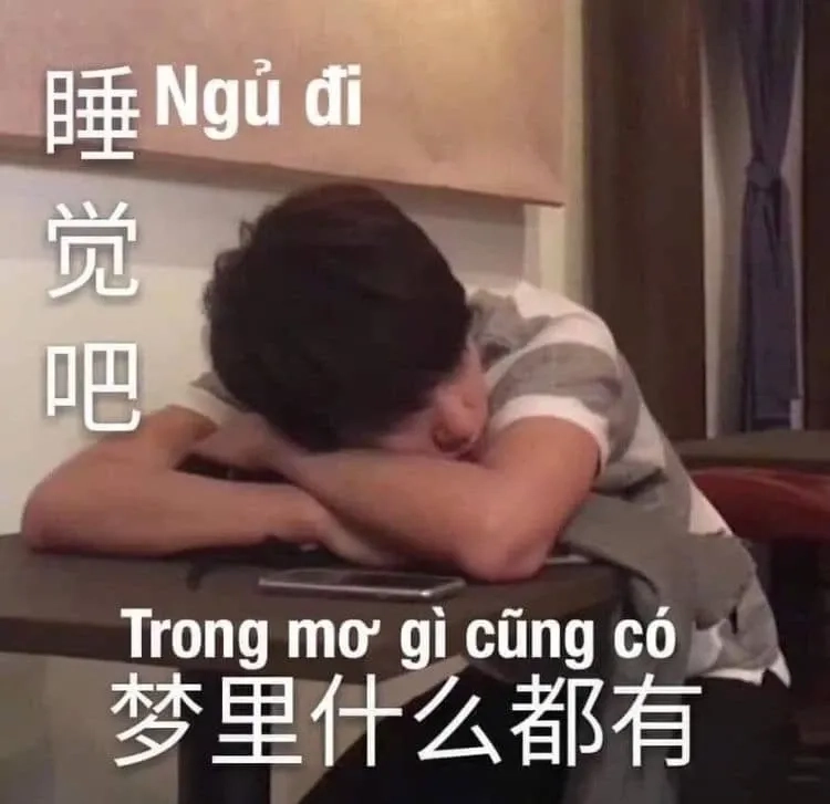 Meme ngủ cute với biểu cảm hài hước và thư giãn