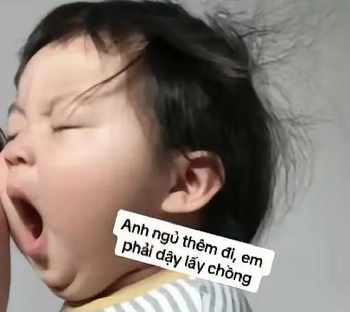 Ngủ ngon meme cute với hình ảnh đáng yêu và ngộ nghĩnh