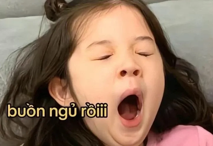 Meme buồn ngủ cute với biểu cảm cực kỳ đáng yêu