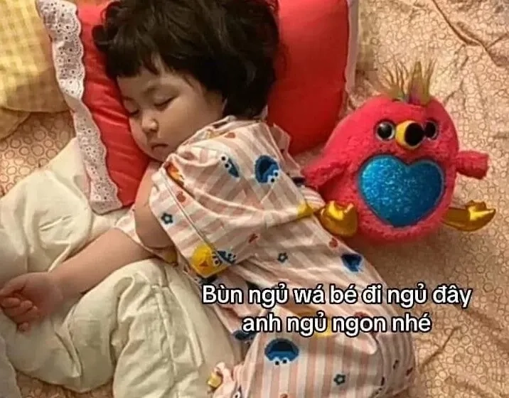 Chúc ngủ ngon meme cute với hình ảnh hài hước đáng yêu