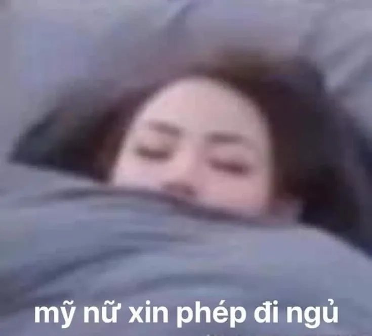 Mèo meme ngủ với biểu cảm ngộ nghĩnh và thư giãn