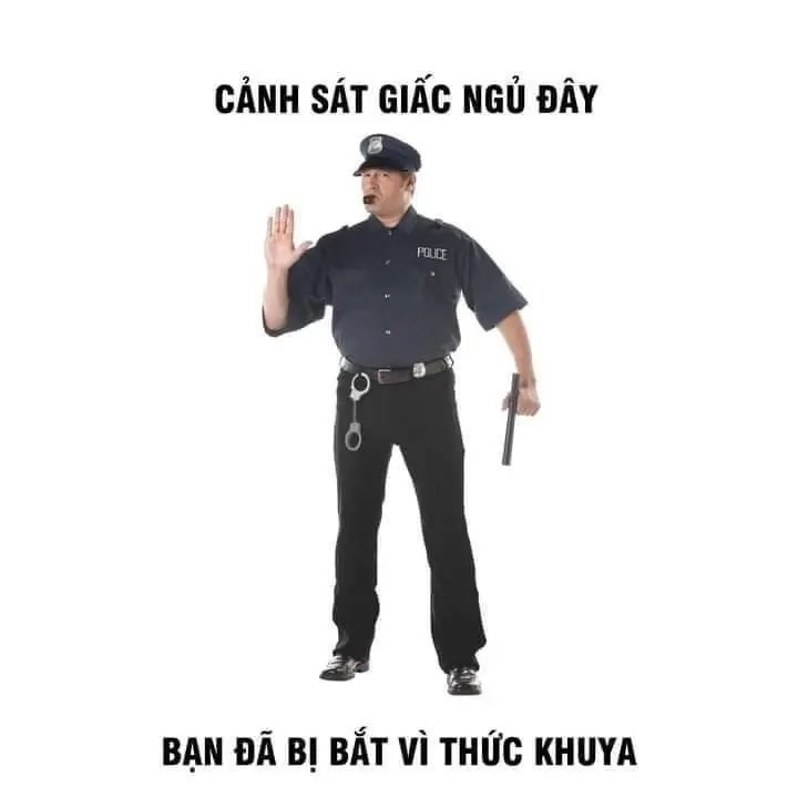 Ảnh meme mèo ngủ với hình ảnh dễ thương gây cười