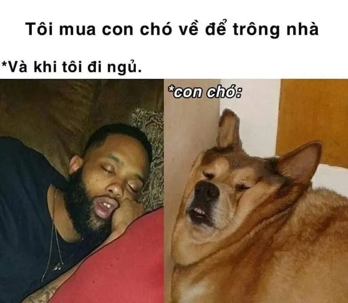 Meme ngủ ngon dễ thương với biểu cảm đáng yêu thư giãn