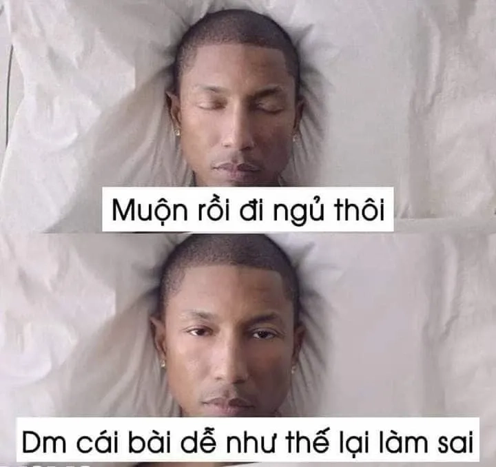 Meme chúc ngủ ngon đáng yêu với lời chúc ý nghĩa