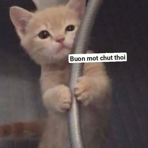 Meme đừng dỗi với lời nhắn dễ thương trong biểu cảm hài hước