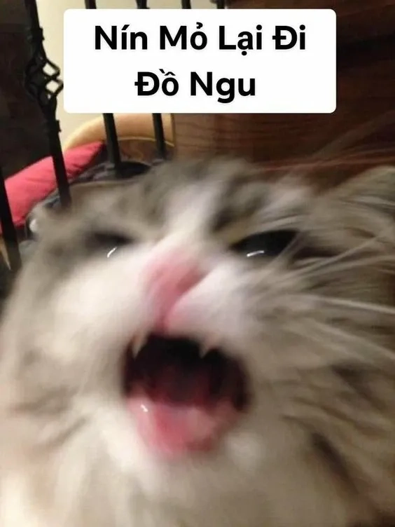 Ảnh dỗi meme với biểu cảm hờn dỗi gây cười