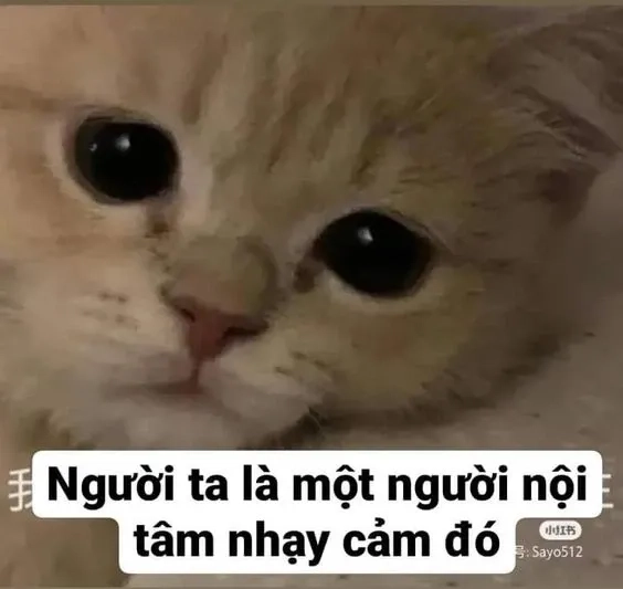 Đừng dỗi nữa meme với biểu cảm ngộ nghĩnh làm dịu căng thẳng