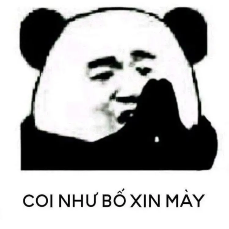 Meme gấu trúc weibo độc đáo và thú vị trong mọi hoàn cảnh