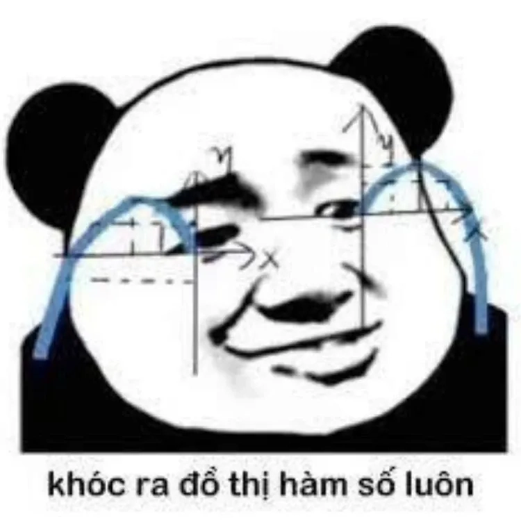 Ảnh hài hước meme gấu trúc thú vị và đáng yêu