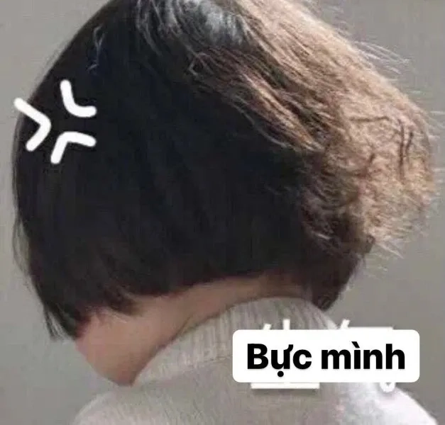 Meme nổi giận ngộ nghĩnh với hình ảnh sáng tạo và độc đáo