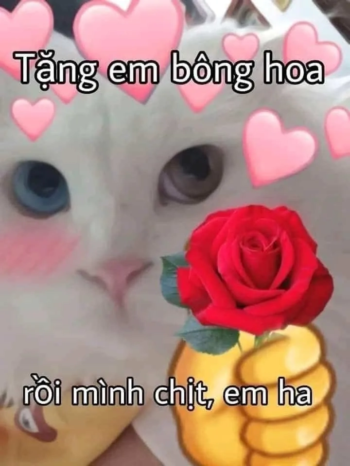 Emotional damage meme gif châm biếm nhẹ nhàng với hình ảnh sáng tạo