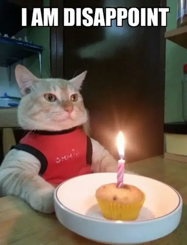 Meme Happy Birthday Cute đáng yêu và phù hợp mọi đối tượng