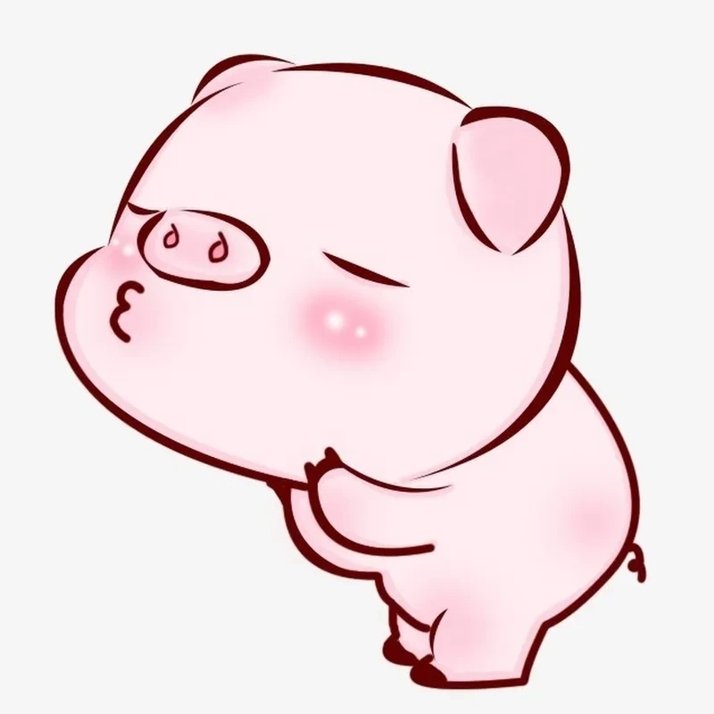 Pig meme ngộ nghĩnh và đáng yêu phù hợp để làm ảnh chế