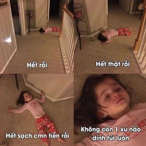 Meme mèo hết tiền đáng yêu với biểu cảm hài hước và sáng tạo