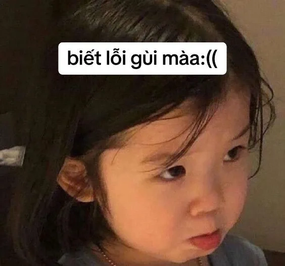 Meme giấy kết hôn độc đáo và hài hước phù hợp mọi hoàn cảnh