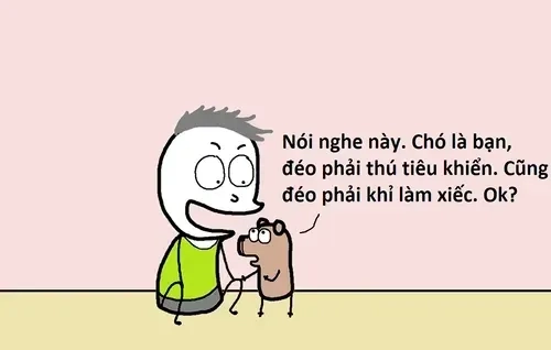 10 điểm không có nhưng meme hài hước và sáng tạo bất ngờ