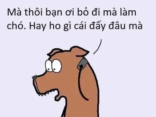 Meme không sao hài hước với biểu cảm ngộ nghĩnh và thú vị