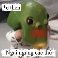 Ảnh Meme Ngại Ngùng độc đáo và phù hợp với mọi lứa tuổi yêu meme