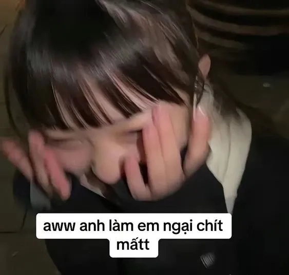 Mèo Ngại Ngùng Meme độc đáo và đáng yêu từ biểu cảm dễ thương