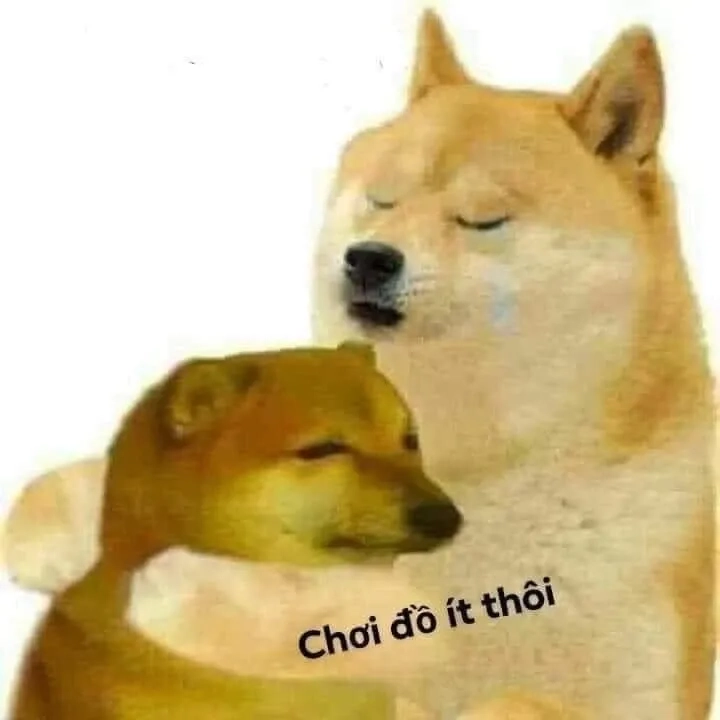 Mèo meme ôm đầu ngộ nghĩnh với biểu cảm hài hước và độc đáo