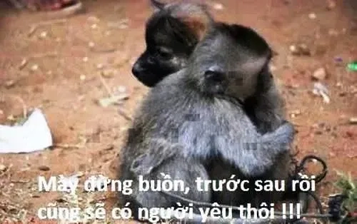 Ảnh meme ôm nhau hài hước với tình huống đáng yêu thú vị