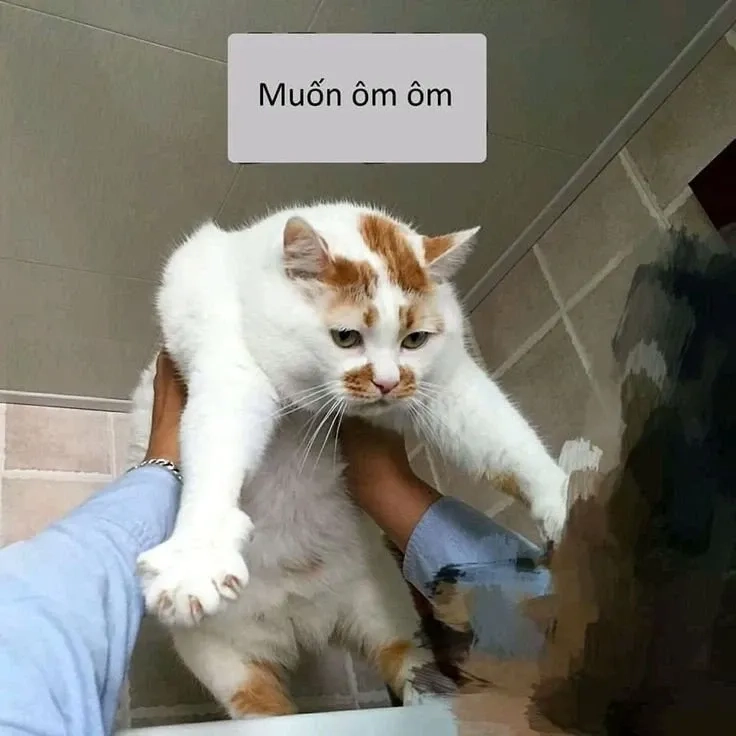 Dang tay ôm meme đáng yêu với hình ảnh sáng tạo và thú vị