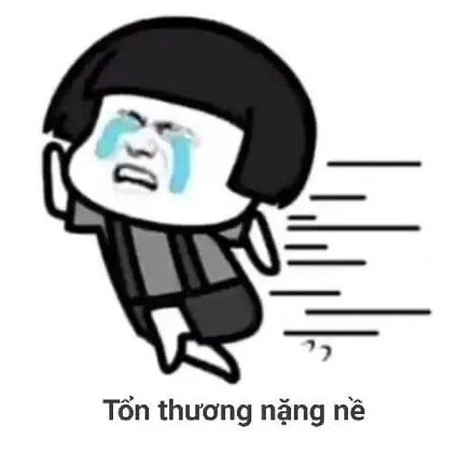 Mèo meme sad ngộ nghĩnh và sáng tạo dễ dàng sử dụng