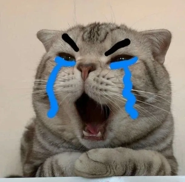 Meme face sad sáng tạo và hài hước phù hợp chia sẻ