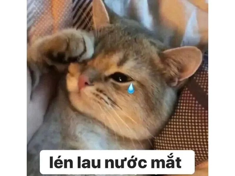 Meme sad face ngộ nghĩnh và hài hước phù hợp mọi người