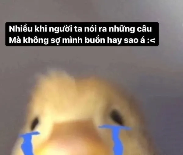 Sadboy meme ngộ nghĩnh và đáng yêu phù hợp chia sẻ