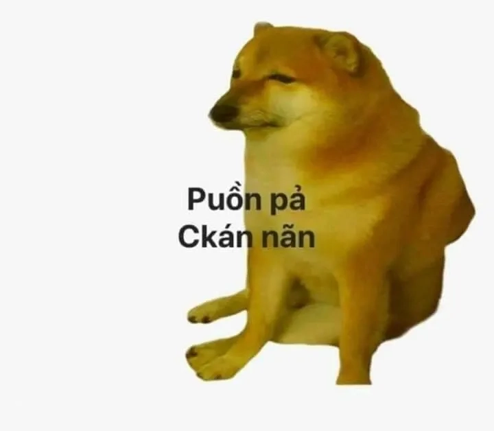 Sad hamster meme png thú vị và đáng yêu mang lại niềm vui