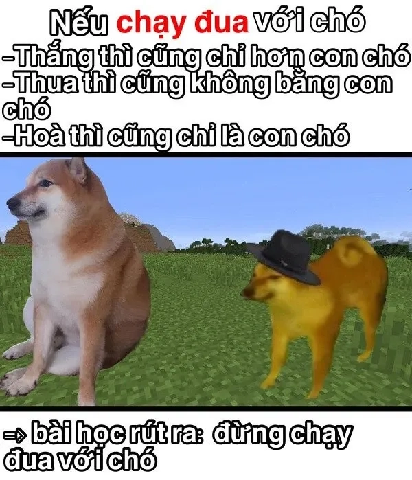 Shiba dog meme độc đáo với hình ảnh sáng tạo