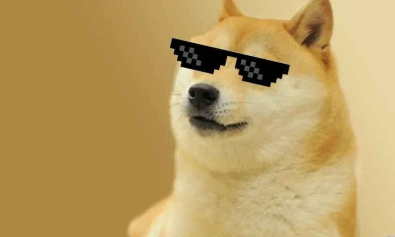 Shiba meme PNG chất lượng cao với hình ảnh vui nhộn