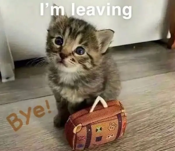 Bye bye meme gif với biểu cảm hài hước độc đáo