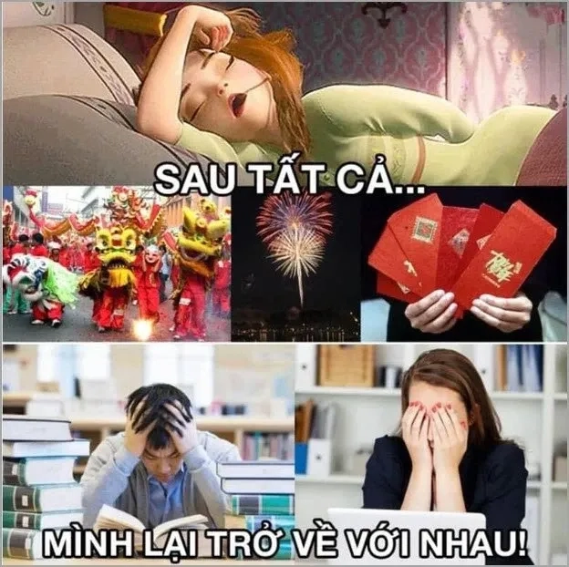 Avt tết meme ngộ nghĩnh và thú vị để chào đón năm mới