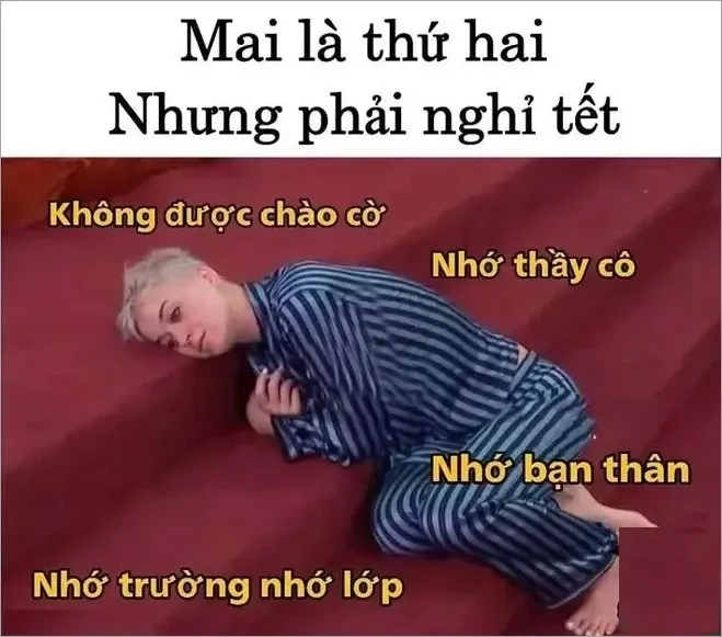 Meme tet cheems tết hài hước và đáng yêu phù hợp để giải trí