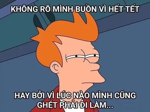 Ảnh avatar tết meme thú vị và sáng tạo để làm ảnh đại diện