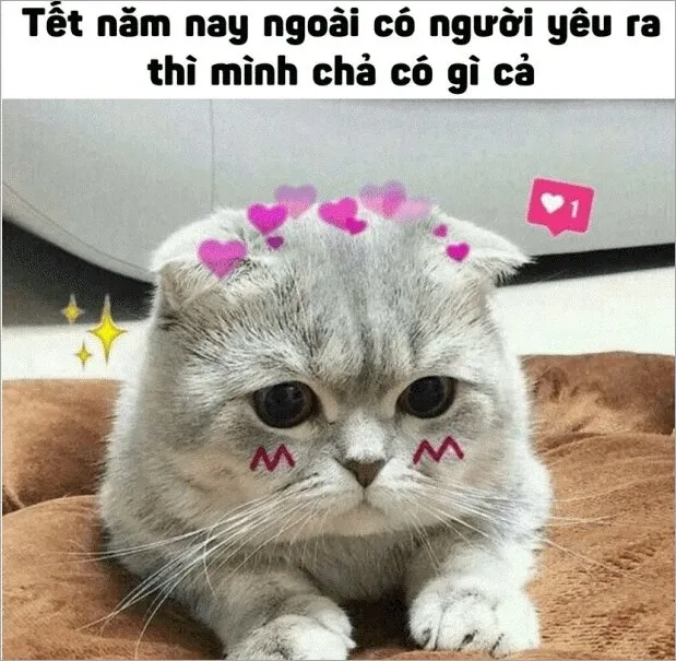 Meme ảnh tết thú vị và ngộ nghĩnh trong không khí tết vui tươi