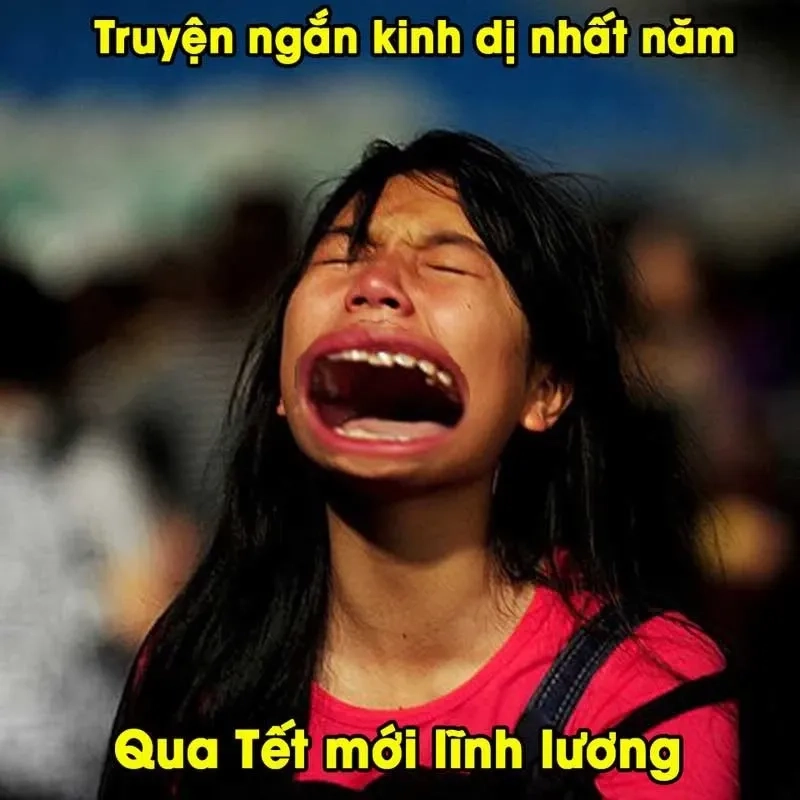 Avatar tết meme con mèo dễ thương và đáng yêu trong dịp tết