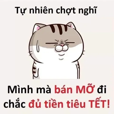 Meme tết mèo thú vị và sáng tạo mang lại tiếng cười vui vẻ