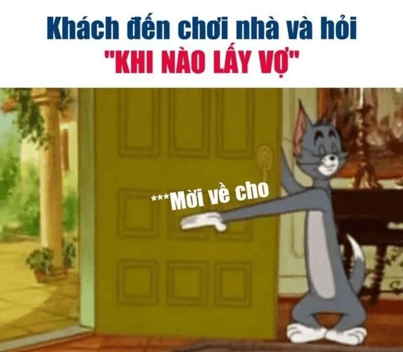 Ảnh meme tết mèo thú vị và sáng tạo phù hợp để chia sẻ