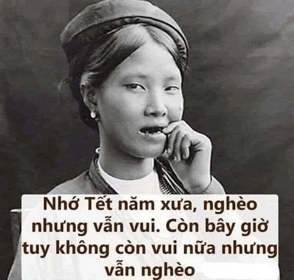 Hình mèo meme tết dễ thương và đáng yêu phù hợp để giải trí