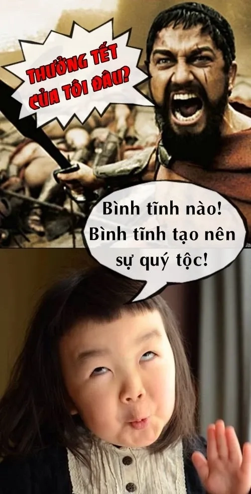 Avt mèo tết meme thú vị và ngộ nghĩnh chào đón năm mới