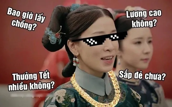 Mèo đón tết meme thú vị và đáng yêu phù hợp để giải trí