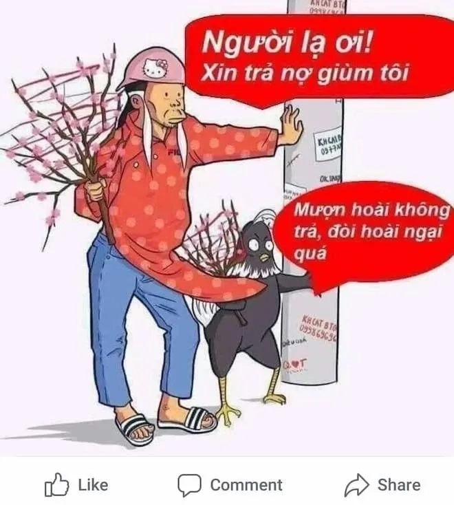 Tết meme mèo hài hước và sáng tạo phù hợp để chia sẻ