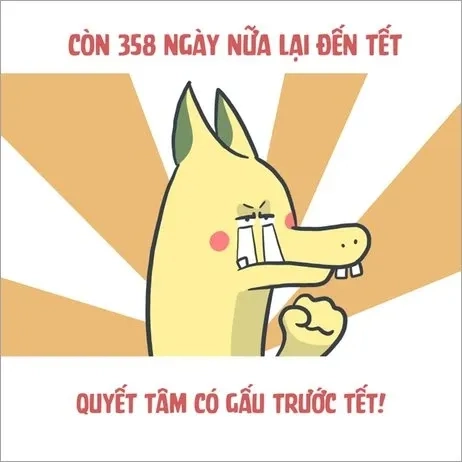 Ảnh mèo ngày tết meme ngộ nghĩnh và dễ thương chào đón năm mới