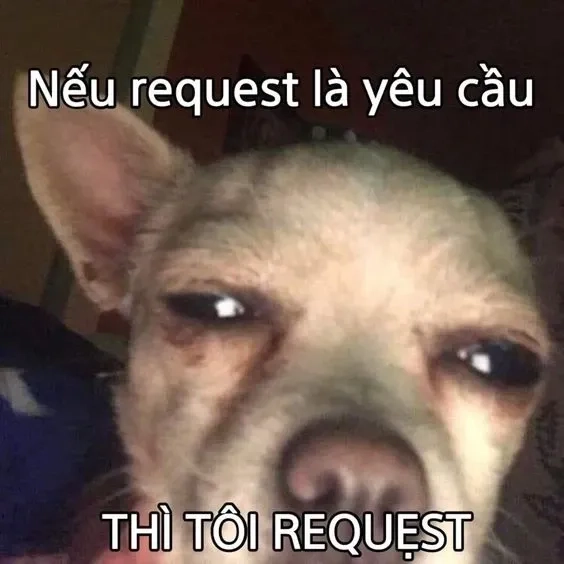 Cute meme thả thính độc đáo làm tan chảy trái tim crush