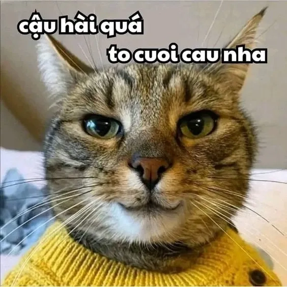 Tềnh crush meme tỏ tình hài hước để bày tỏ tình cảm